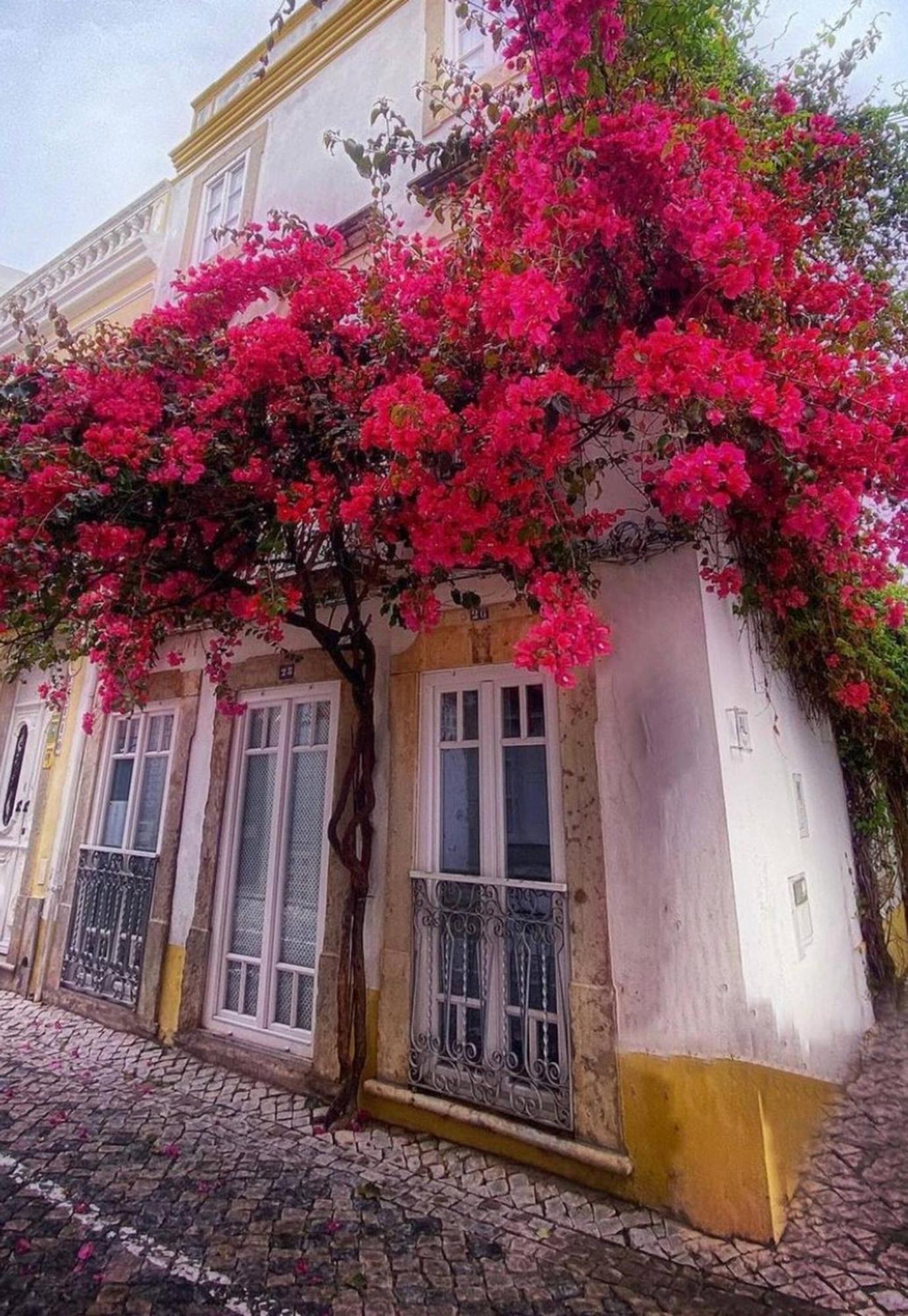 Stylish Studio Gilao In Taviras Historical Centre Ngoại thất bức ảnh